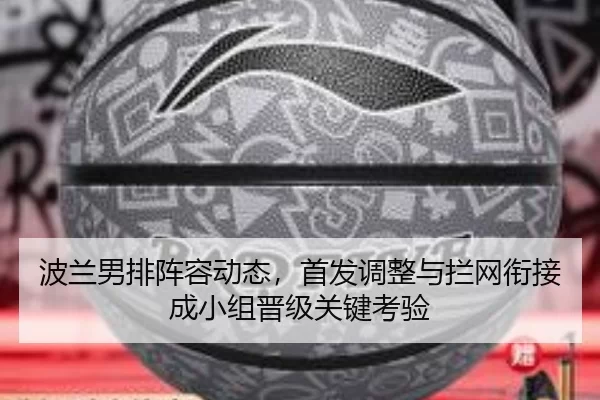 bo-lan-nan-pai-zhen-rong-dong-tai-shou-fa-tiao-zheng-yu-lan-wang-xian-jie-cheng-xiao-zu-jin-ji-guan-jian-kao-yan-2-492.jpg